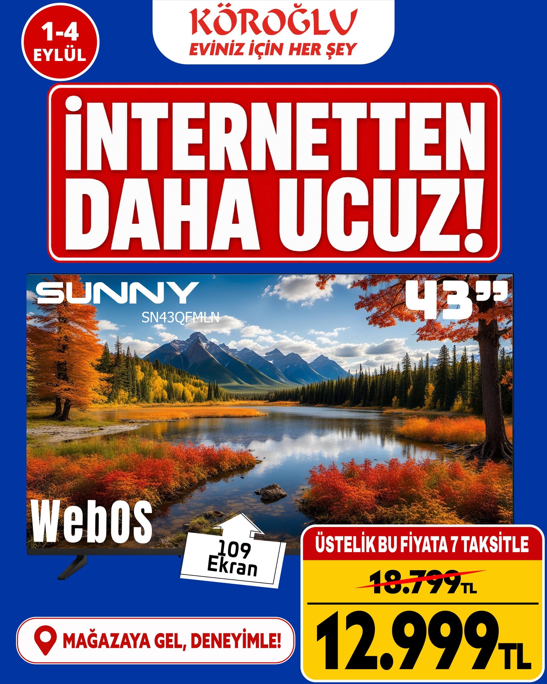 Sunny 43 İnç WebOS TV Main image